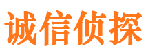 锦屏侦探公司